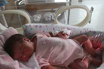 Prvním novorozencem roku 2017 v Uherskoh­radišťské nemocnici se stala Štěpánka, která se narodila mamince Dagmar Ludvíkové ze Strání ve dvě hodiny odpoledne 1. ledna 2017.