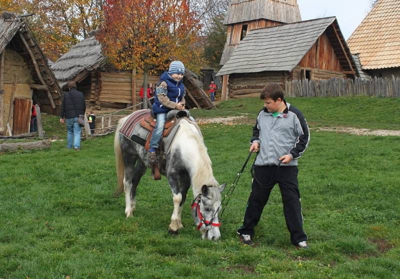 Speciality z pašíků, košt pálenek a dobrá zábava přilákaly v sobotu do skanzenu 800 návštěvníků.