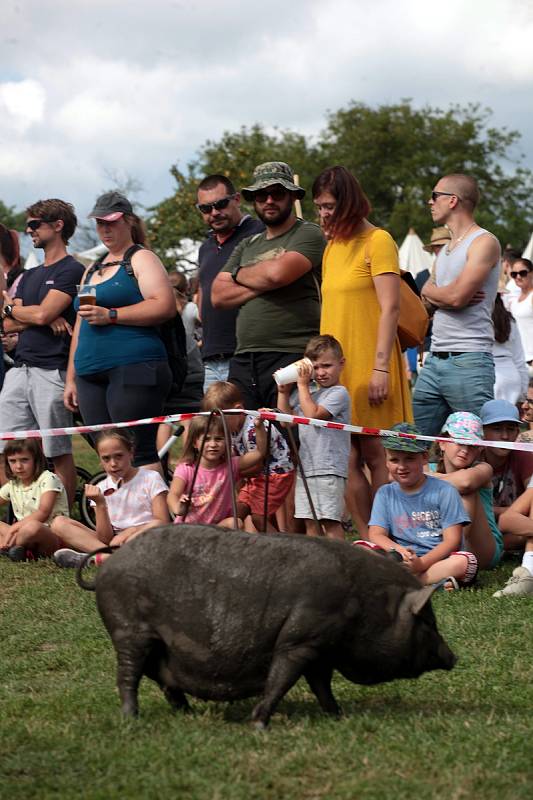 Bitva o Veligrad v Archeoskanzenu Modrá, srpen 2021.