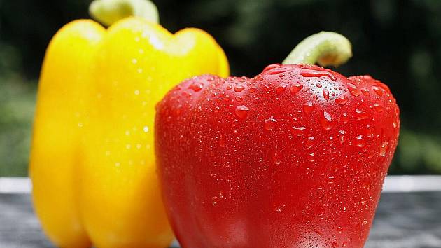 Škola vaření: paprika trumfne ve vitaminu C i pomeranč - Olomoucký deník