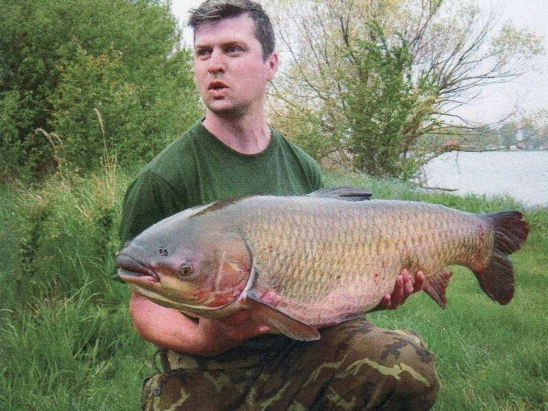 Soutěžní číslo 119 – Michal Zapletal, amur, 120 cm, 23 kg, uloven na Dyji.