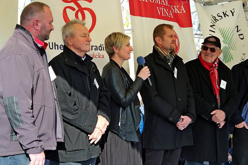 Masarykovo náměstí v Uherském hradišti se zaplnilo lidmi, vínoznalci, vinaři i hradišťským farářem Josefem Říhou, který přede všemi, i před sv. Martinem na koni požehnal letošním svatomartinským vínům.