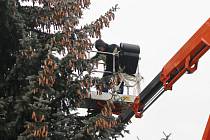 V Uherském Hradišti ve středu 22. listopadu dopoledne vztyčili vánoční strom. Jedná se o třináctimetrový smrk pichlavý, který pochází z ulice Zahradní na sídlišti Štěpnice.