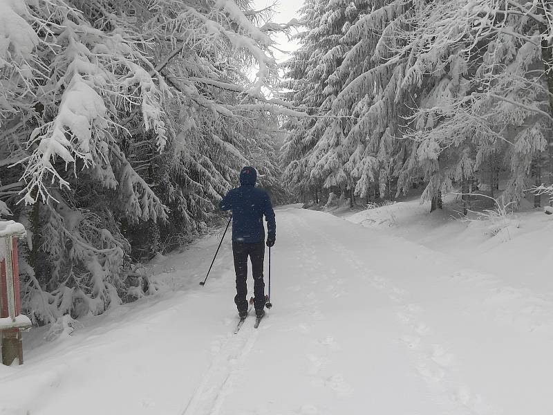 Běžkaři v bílé stopě pod Velkým Lopeníkem, v okolí Mikulčina vrchu a Vyškovce.