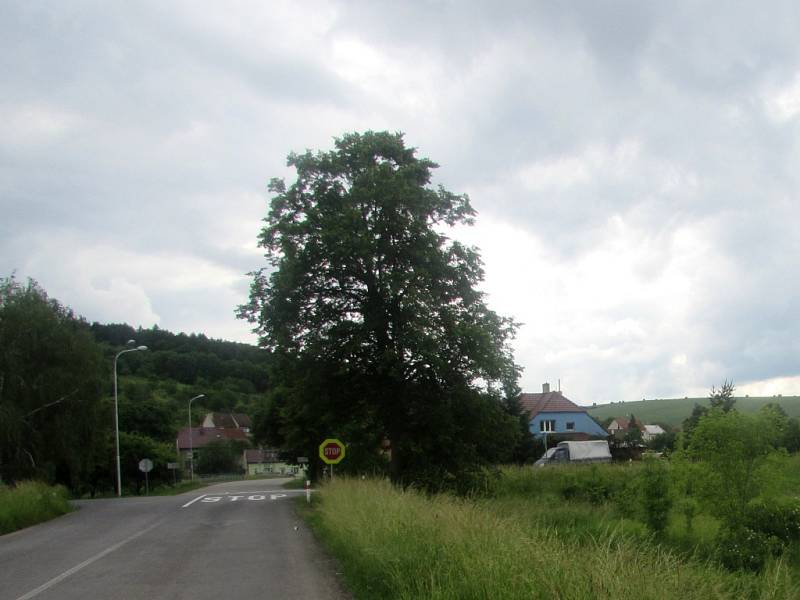 Vpravo od cesty z Hradčovic měl vzniknout chodník usnadňující chodcům a cyklistům cestu z Veletin.