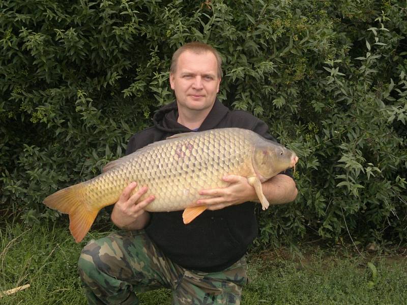 Soutěžní číslo 122 – Kamil Silný, kapr, 95 cm, 14,3 kg, uloven na Sobáčovském rybníku.