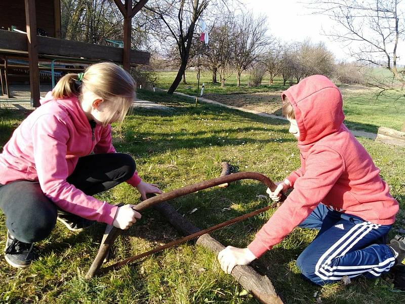 Děti posílaly v době dálkové výuky do školy fotopozdravy.