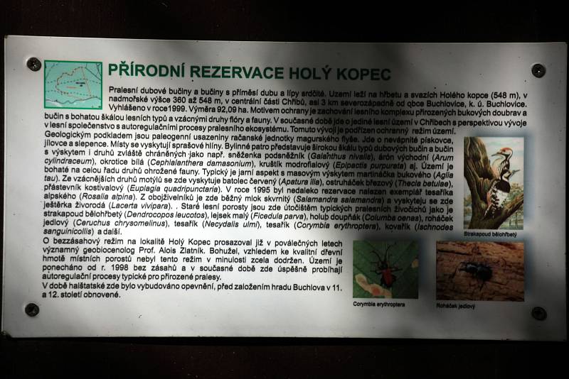 Přírodní rezervace Holý kopec na podzim.