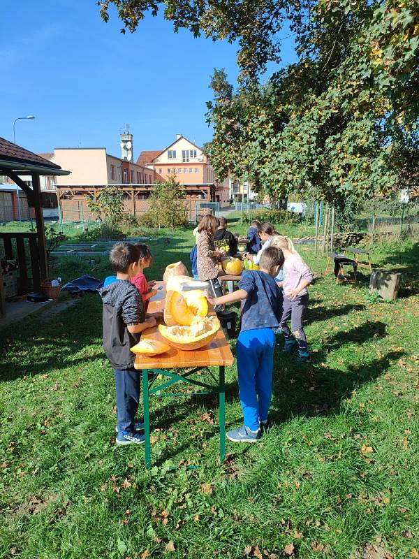 Dýňování v Záhorovicích.