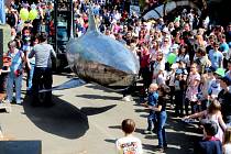 Osm a půl tisíce lidí v KOVOZOO přivítalo na svět plastiku žraloka v životní velikosti