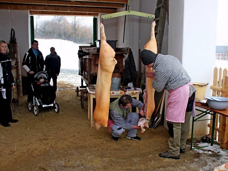 První akce letošního roku přilákala v sobotu stovky lidí do Muzea v přírodě Rochus na slováckou zabijačku a za masopustními tradicemi.