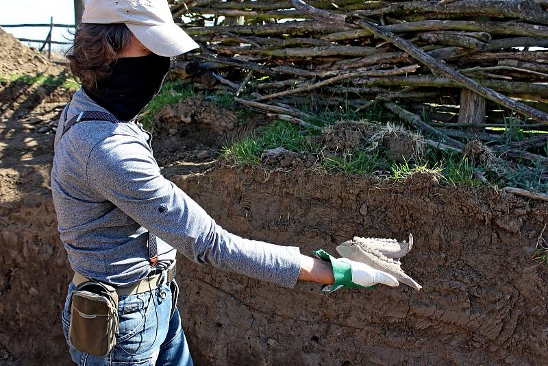 Co se podařilo objevit pod povrchem Archeoskanzenu Modrá.