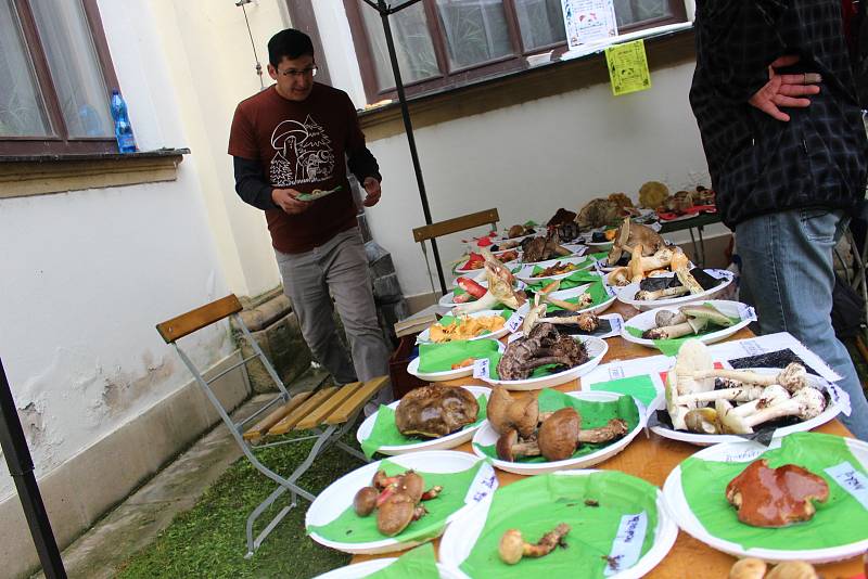 Zajímavou nabídku druhů hub nabízel na slavnostech salašský Mykologický klub.