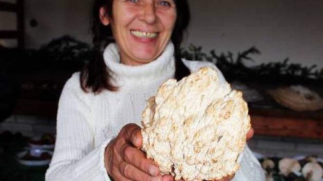 Za unikátní houbařský úlovek ratíškovických houbařů považovala salašská mykoložka Alena Filípková korálovce jedlového.