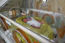 Uherskohradišťská nemocnice patří v péči o nedonošená miminka k nejlepším v zemi. Ilustrační foto.