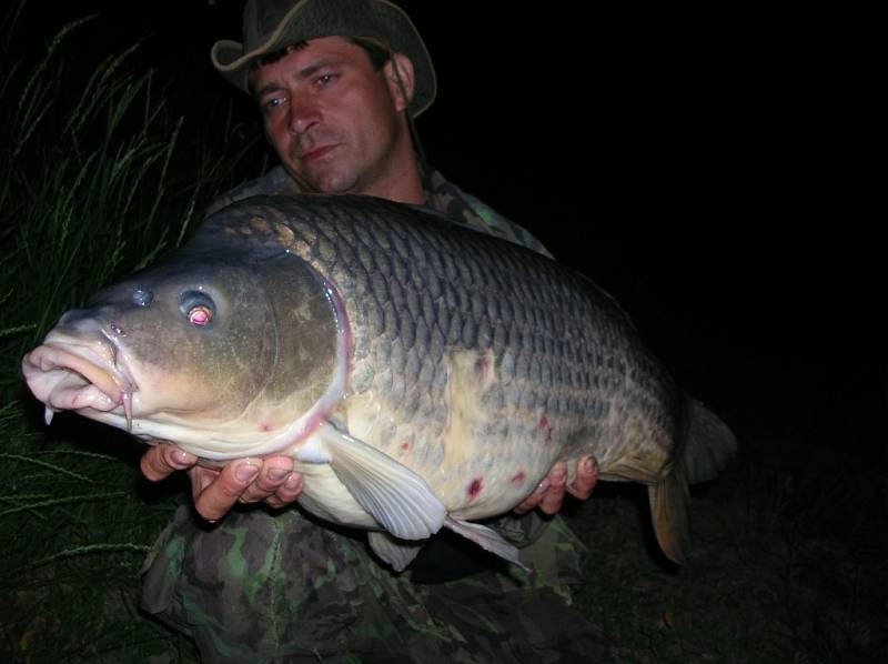 Soutěží číslo 95 – Petr Polášek, kapr, neměřen, 11,5 kg.