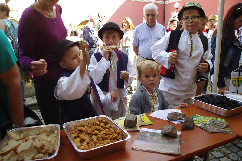 Slovácké slavnosti vína a otevřených památek v Uherském Hradišti