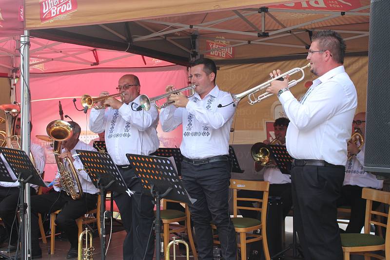 Slavnostní koncert i s hosty z folklorního souboru Horněmčí a dechové hudby Miločanky odehrála k jubilejnímu 130. výročí od svého založení dechová hudba Horněmčanka v místním parku U Letadla.