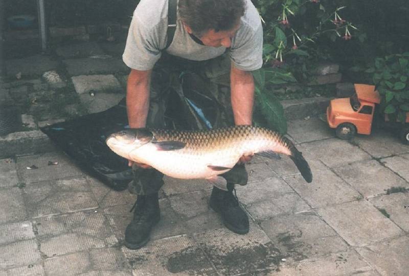 Soutěžní číslo 88 - Jindřich Iván, amur,  94 cm, 12,2 kg.