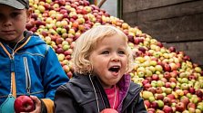 V Hostětíně budou ochutnávat jablečné produkty.