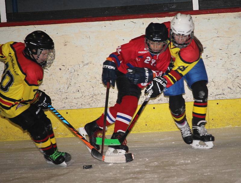 Derby malých hokejistů: Hradiště vs. Ostroh