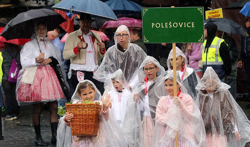 Tradičnímu defilé na Masarykově náměstí nepřálo počasí.