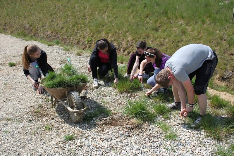 Studenti 3. ročníku Stojanova gymnázia přiložili ruce k dílu ve skanzenu i v biocentru Modrá. 