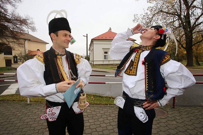 Březolupské hody. Hodová chasa volí v Březolupech.