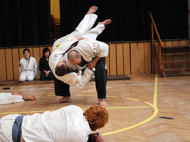 Ukázky jiu-jitsu v Nedakonicích. 