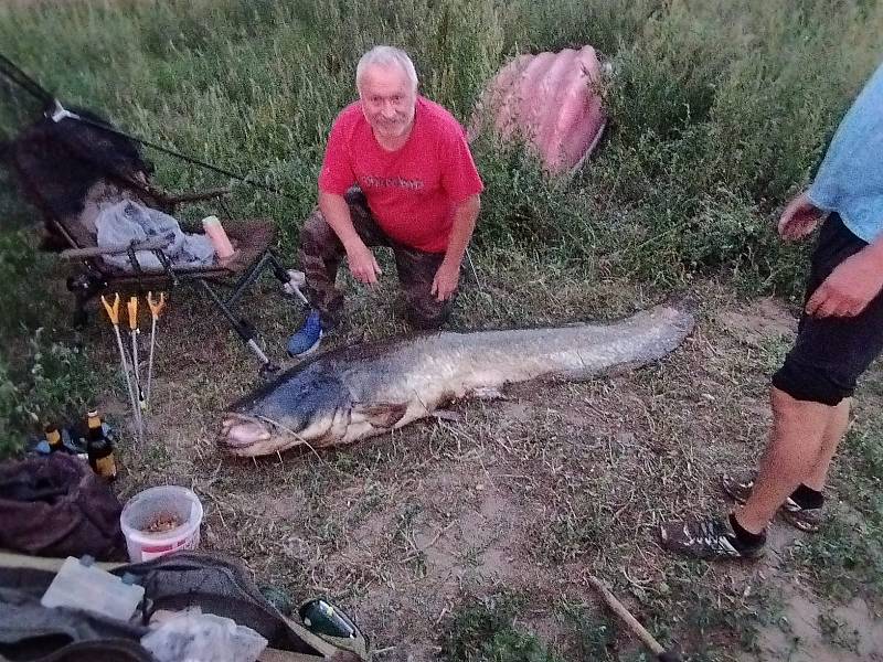 Staroměšťan Petr Blaha vytáhl z řeky Moravy v Uherském Hradišti více než dvoumetrového sumce