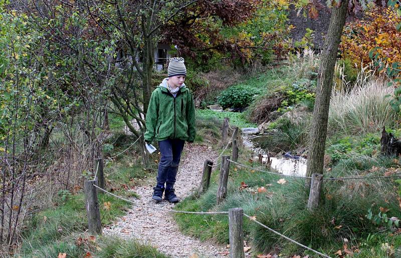 DEN STROMŮ. Nedělní akce Na Živé vodě přiblížila děti i dospělé k přírodě.