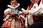 Nadace SYNOT rozdělila miliony korun mezi zájemce z řad kulturních a folklórních uskupení. 