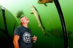 CESTOVATEL A FOTOGRAF. Vizovický Richard Jaroněk je milovník divočiny. Se žraloky strávil stovky hodin.