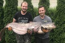 Jakub Machala (vlevo) z Ostrožské Lhoty ulovil sumce 1,94 metru dlouhého v řece Moravě v Uherském Hradišti deset minut před půlnocí. Kapitální ryba vážila 60 kilo a Jakubovi ji pomáhal tahat spolupracovník Ivo Wirgel.