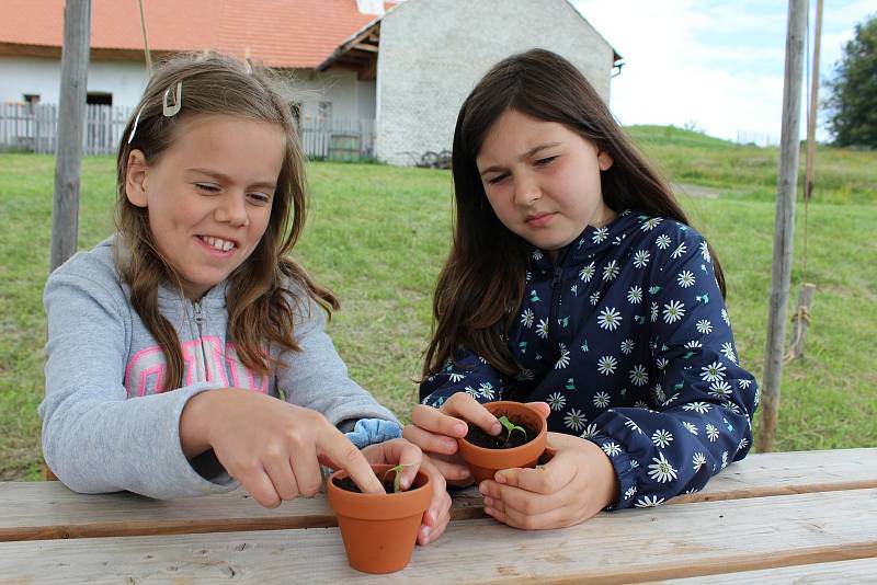 Příměstský tábor U tetičky na dědině 2020