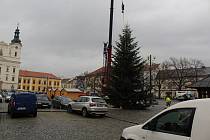 Stavění vánočního stromu na Masarykově náměstí