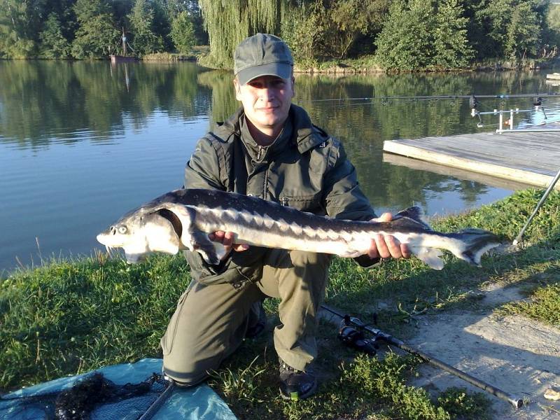 Soutěžní číslo 106: Václav Sýkora, jeseter, 110 cm a nevážen.