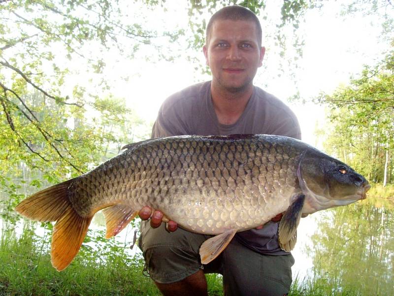 Soutěžní číslo 49: Antonín Martinek, kapr obecný, 82 cm a 11 kg