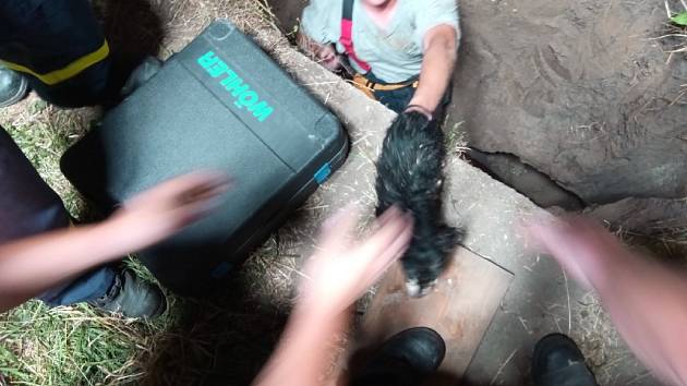 Pád psa Čivavy do dva metry hlubokého a třicet centimetrů širokého vrtu na zahradě rodinného domu ve Starém Městě zalarmoval ve čtvrtek 27. června večer celkem tři jednotky hasičů.