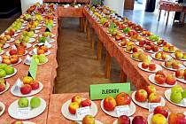 V neděli a v pondělí se zahrádkářské organizace ze Slovácka prezentovaly svými letošními výpěstky na okresní výstavě ovoce a zeleniny v hradišťské Redutě.