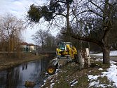 Povodí Moravy provádí čištění řeky Olšavy v Bojkovicích od soutoku s potokem Koménka po splav na konci města.