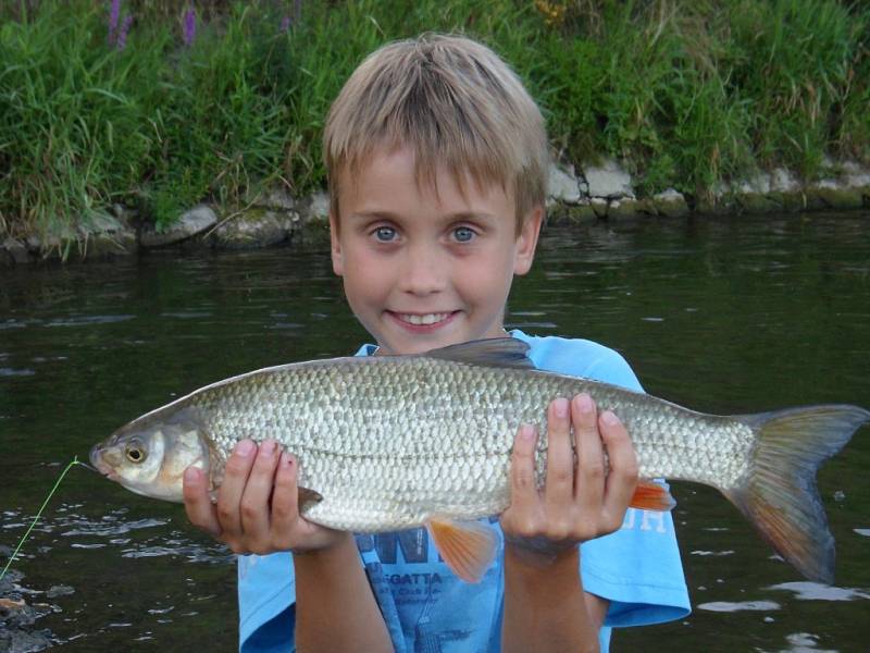 Soutěžní číslo 12 - Jakub Menša, ostroretka, 50 cm, nevážena, ulovena v Dřevnici.