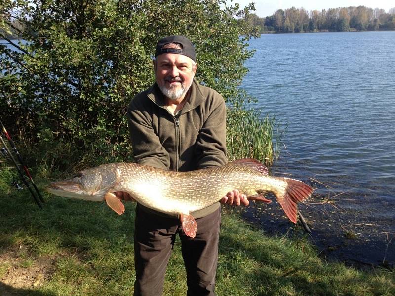 Soutěžní číslo 2 - Jaromír Vitásek, štika, 99 cm, nevážena, chycena v Chomoutově