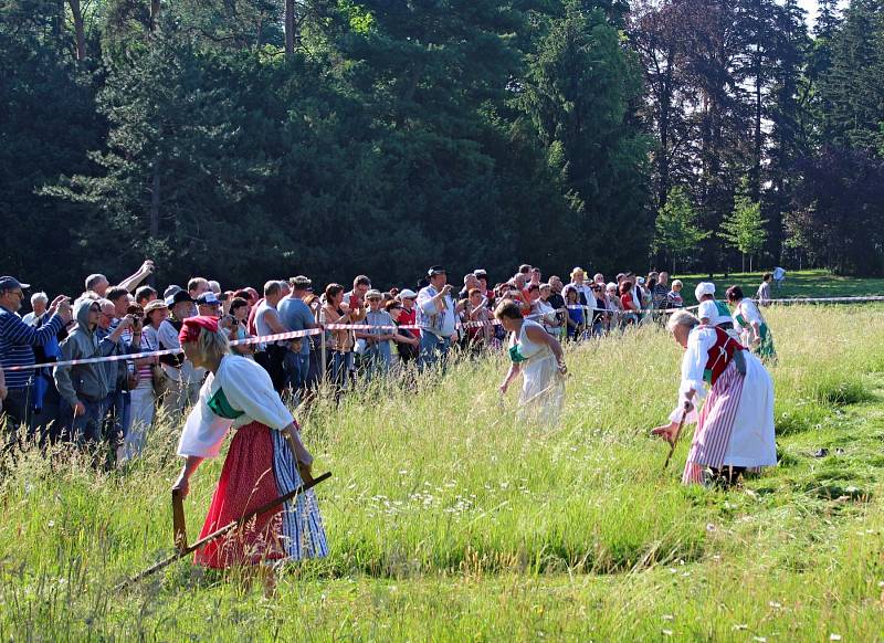 SEKÁČSKÉ KLÁNÍ. Kosecké písně se staly v Buchlovicích železnou košilí.