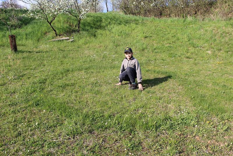 Tajemné kruhy v trávě  na louce v Ořechově, kdysi tam stávala cihelna.