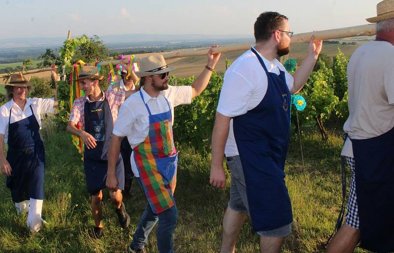 Polešovičtí vinaři zavřeli horu. Hrozny budou chráněny před zloději