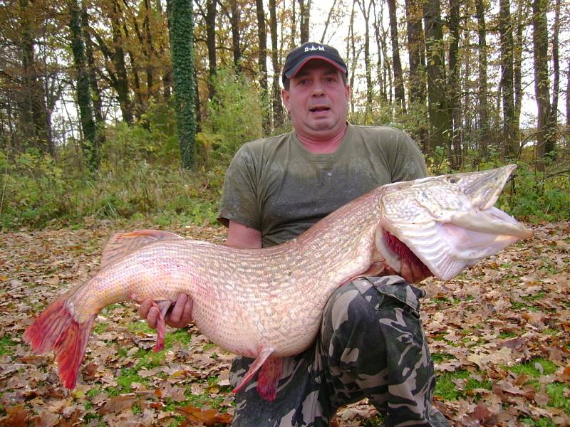 Soutěžní číslo 123 - František Svoboda, štika, 125 cm a 18 kg.