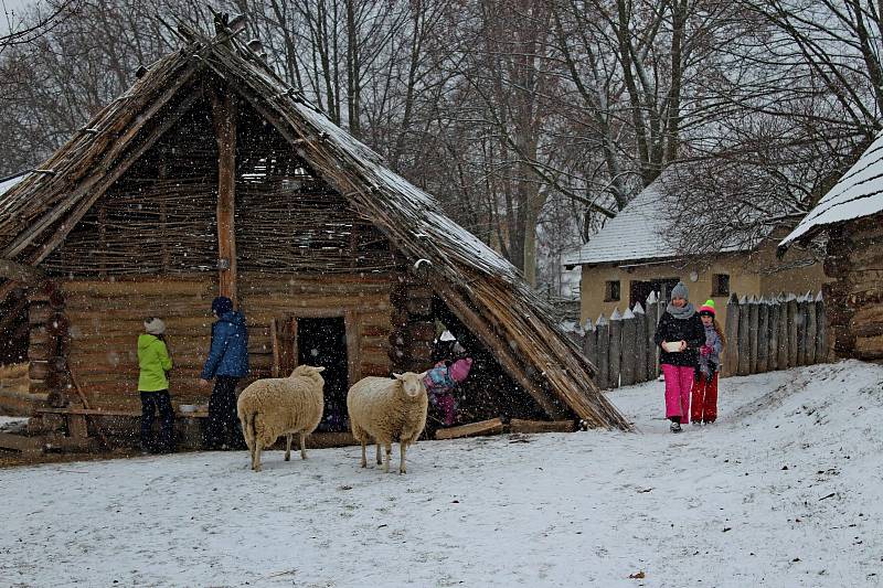 V CHÝŠÍCH SLOVANŮ. Suroviny k zimnímu kuchtění si skauti přinesli z domova. Co si z nich připravili, to si také snědli.