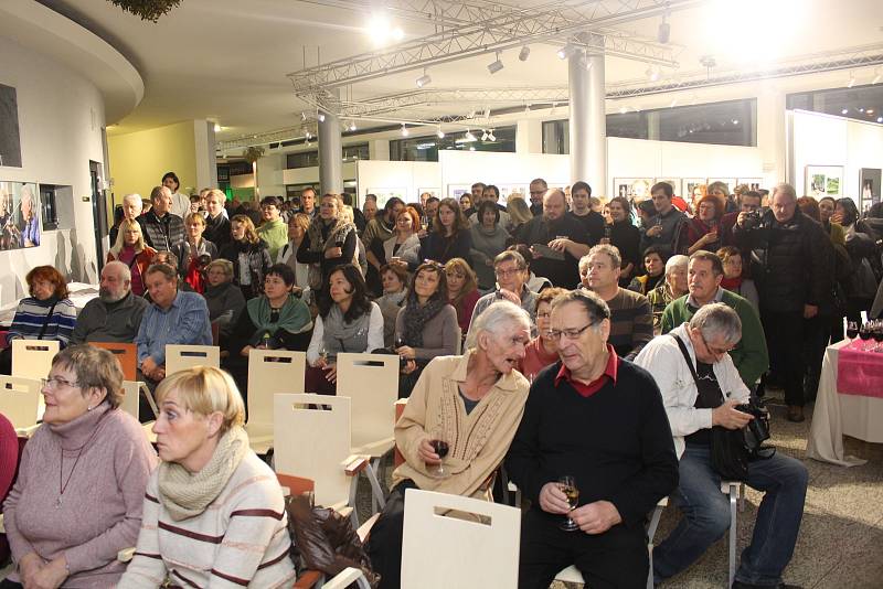 Vernisáž třináctého ročníku neformálního slováckého press fota s názvem Ohlédnutí 2018 hostilo foyer Kina Hvězda v Uherském Hradišti.