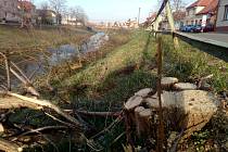 Desítky stromů pokácených na březích Olšavy v Kunovicích v rámci přípravy na stavbu protipovodňových bariér.
